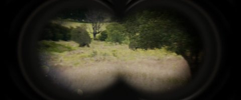 Shot 217