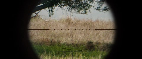 Shot 191