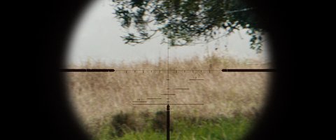Shot 182