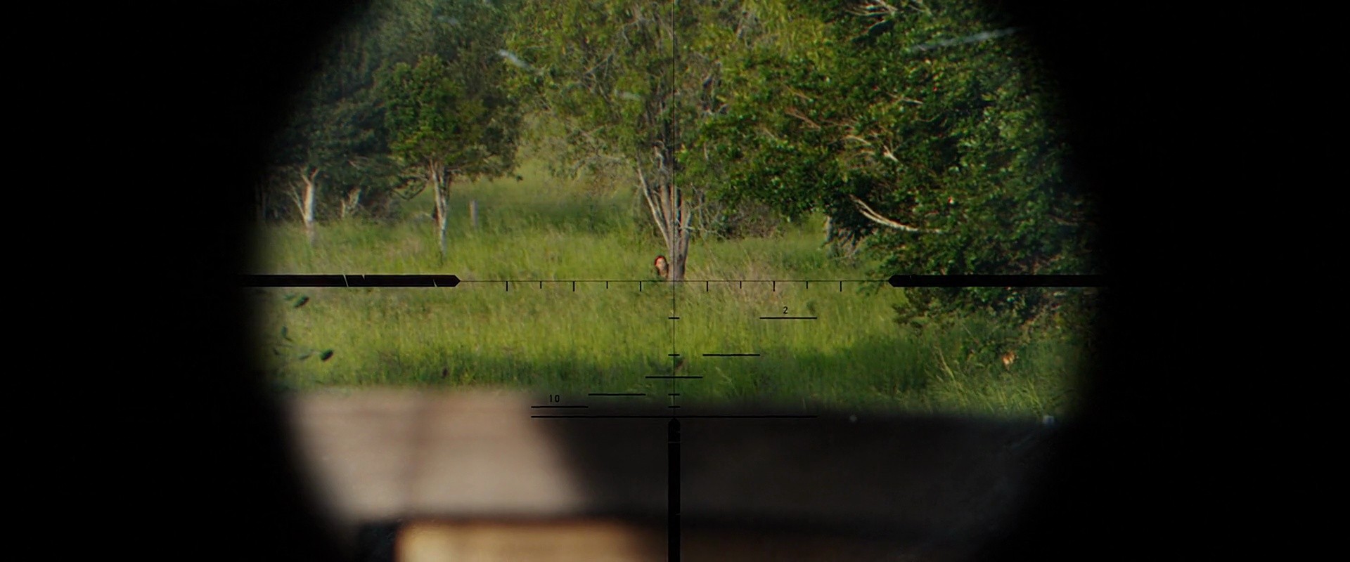 Shot 391