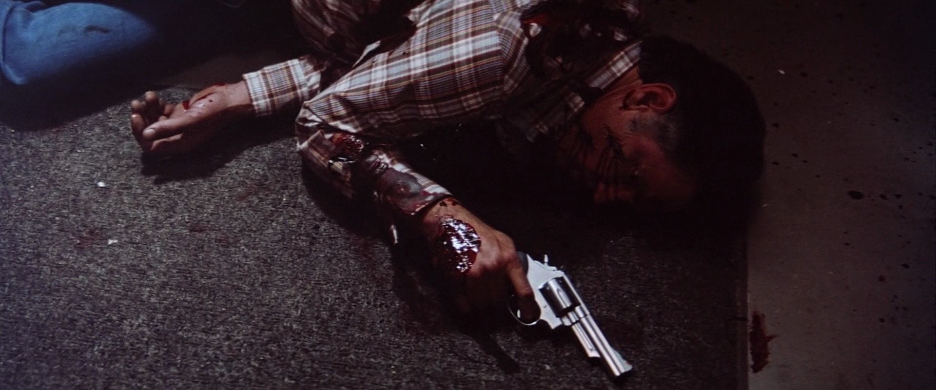 Shot 491