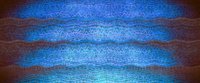 Shot 6
