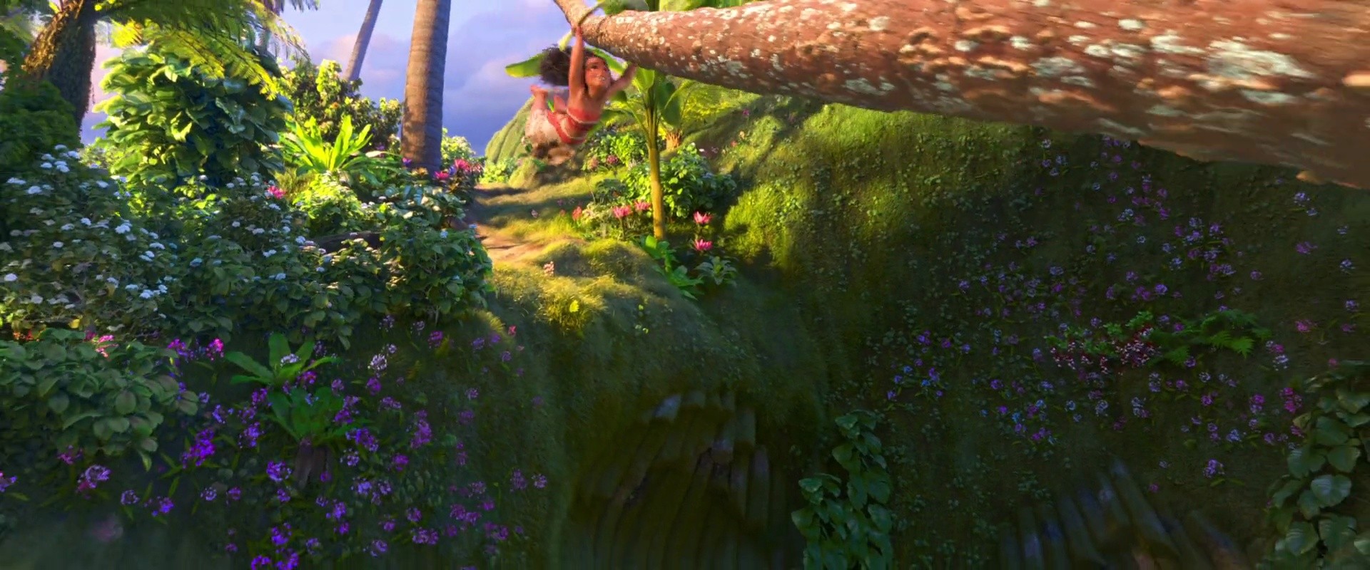 Shot 338