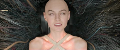 Shot 2383