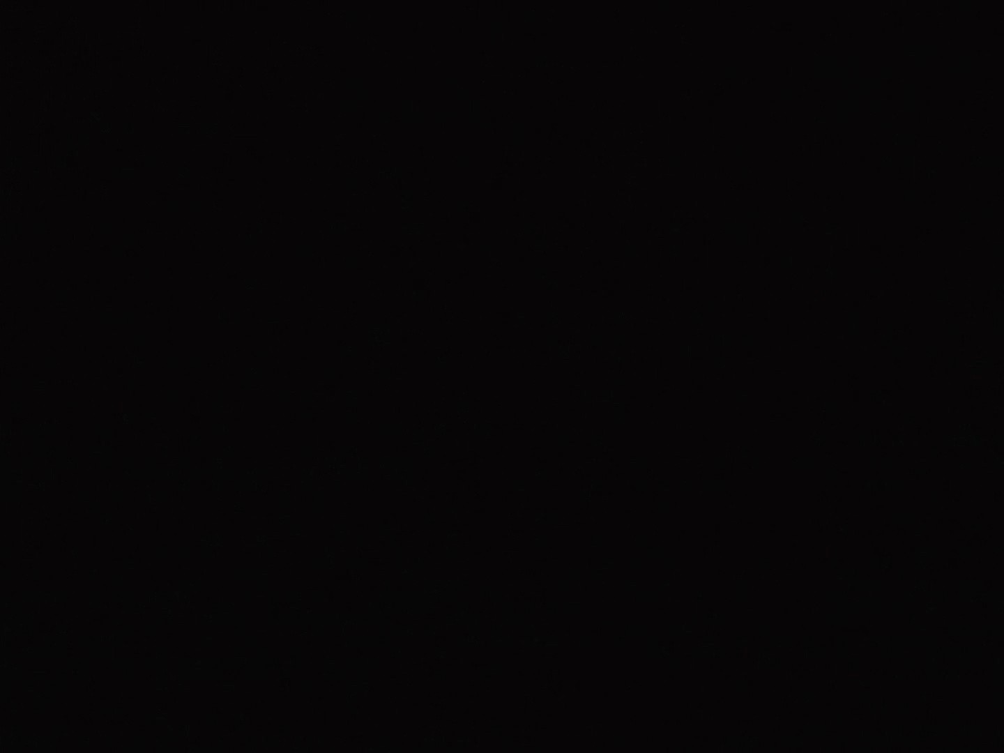 Shot 1017