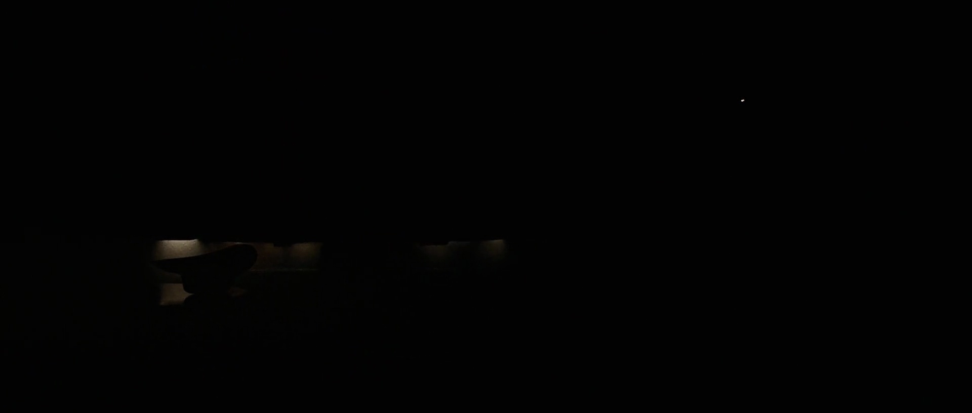 Shot 446