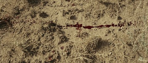 Shot 74