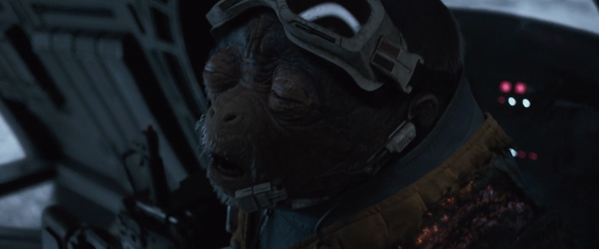 Shot 533