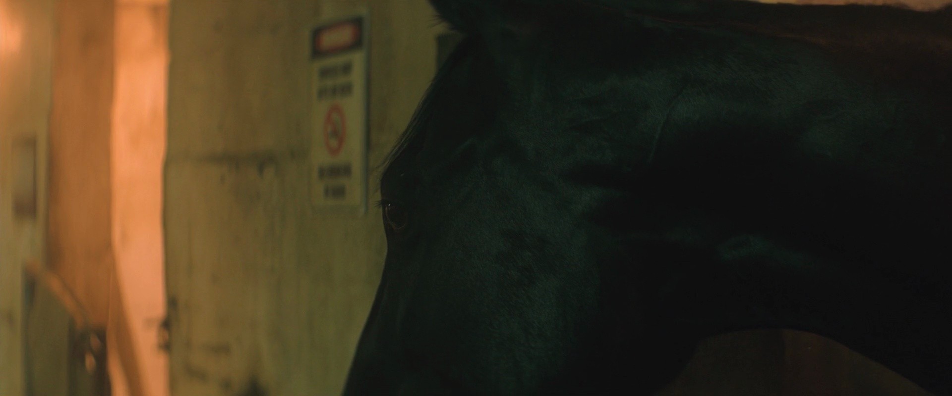 Shot 2049