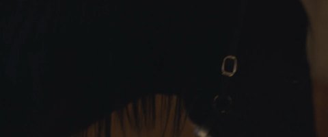Shot 666