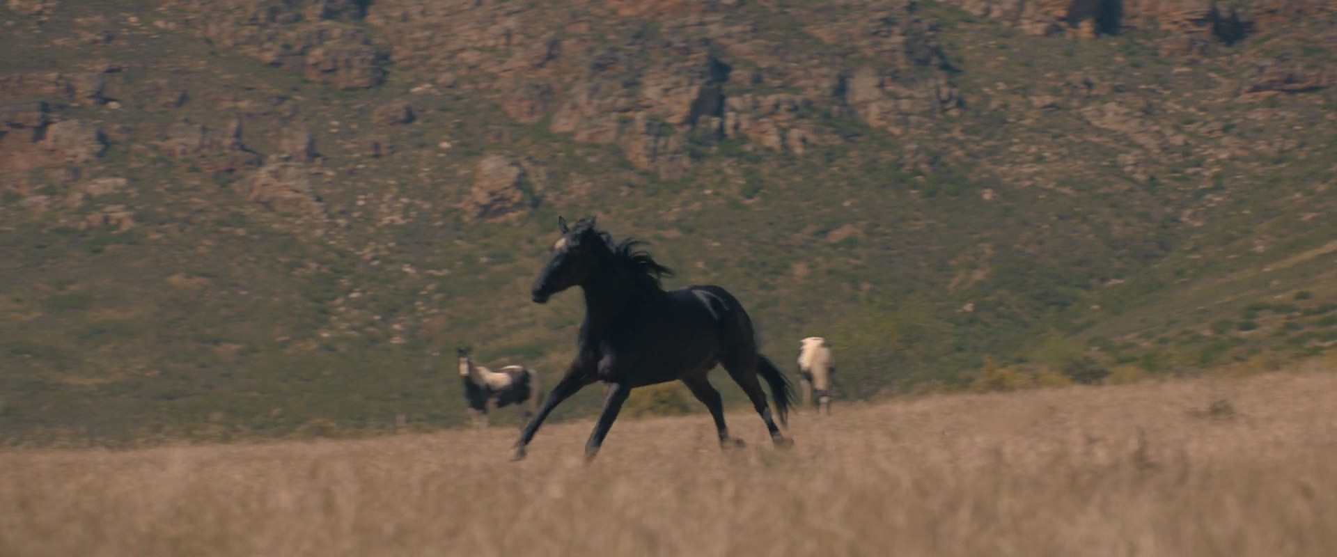Shot 48