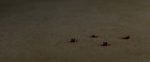 Shot 637