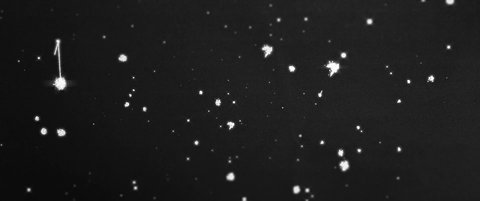 Shot 6