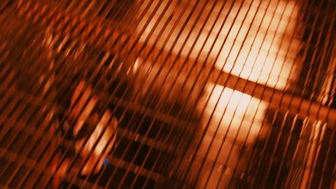Shot 1319