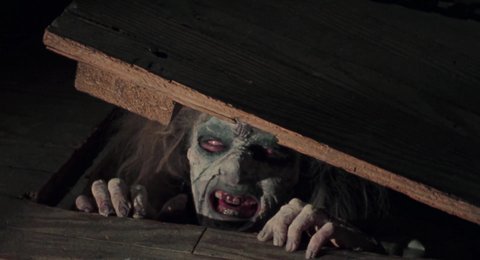 Shot 800