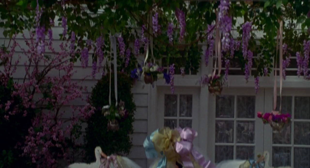 Shot 597