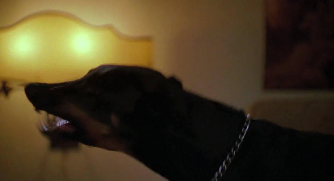 Shot 364