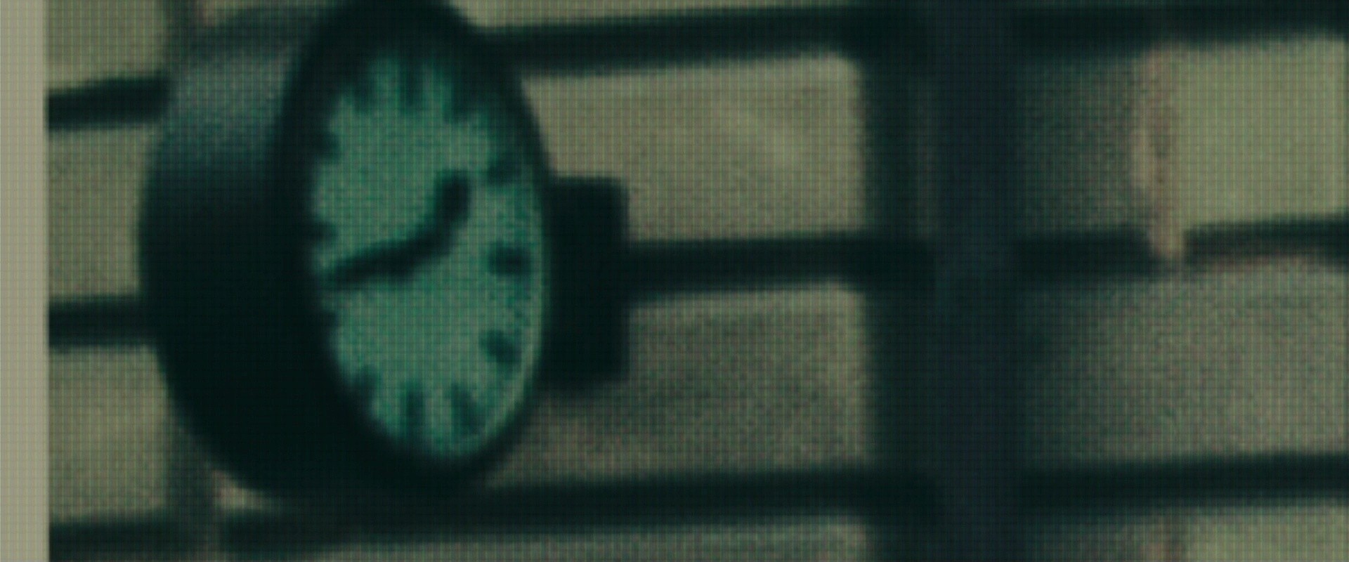 Shot 1931