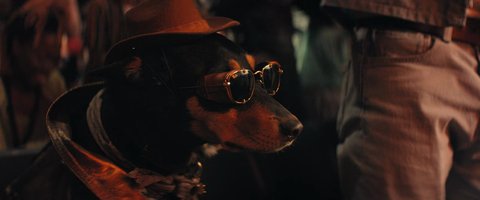 Shot 2175