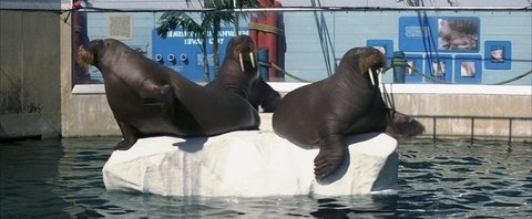 Shot 1458