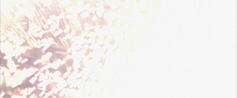 Shot 1895