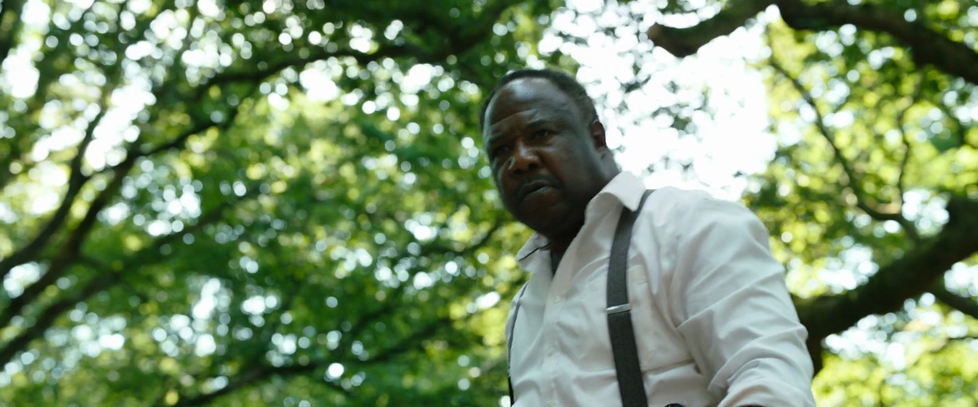 Shot 1213