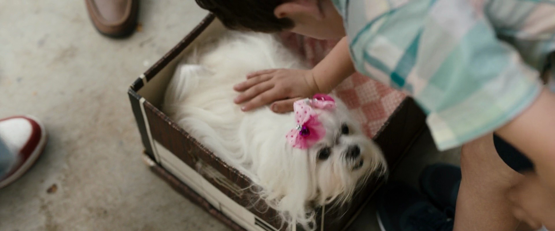Shot 1679