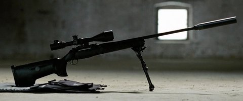 Shot 503