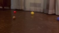 Shot 10
