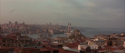 Shot 1995