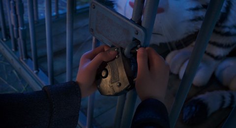 Shot 426