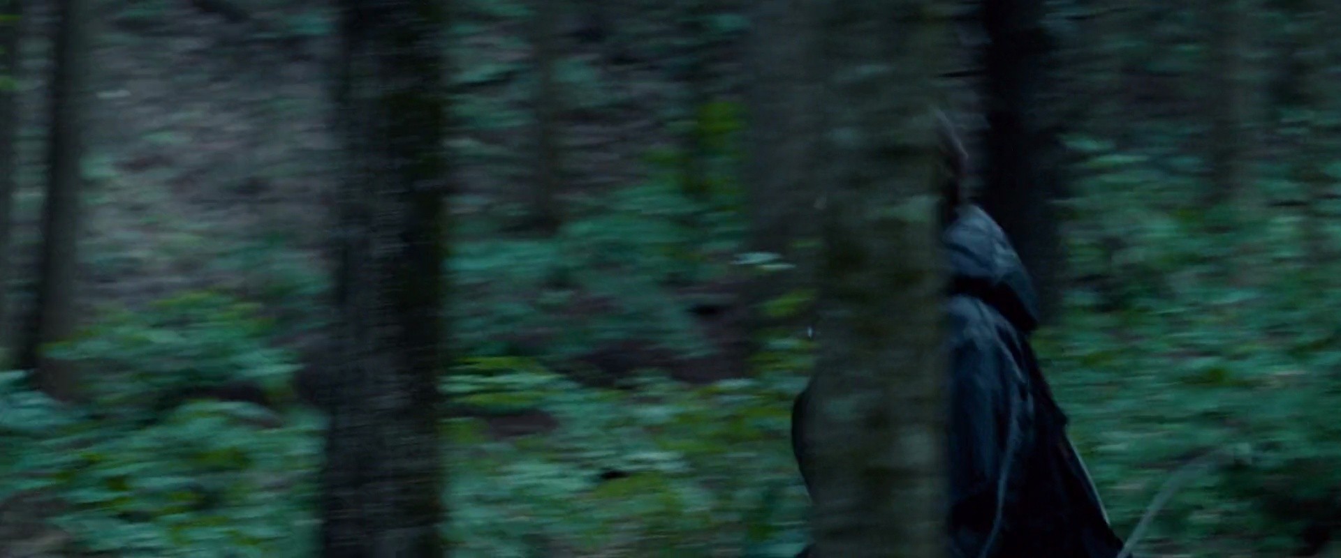 Shot 2178