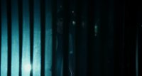 Shot 45
