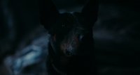 Shot 24