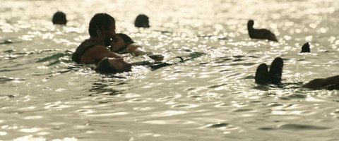 Shot 306