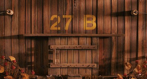 Shot 29