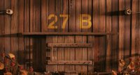 Shot 29