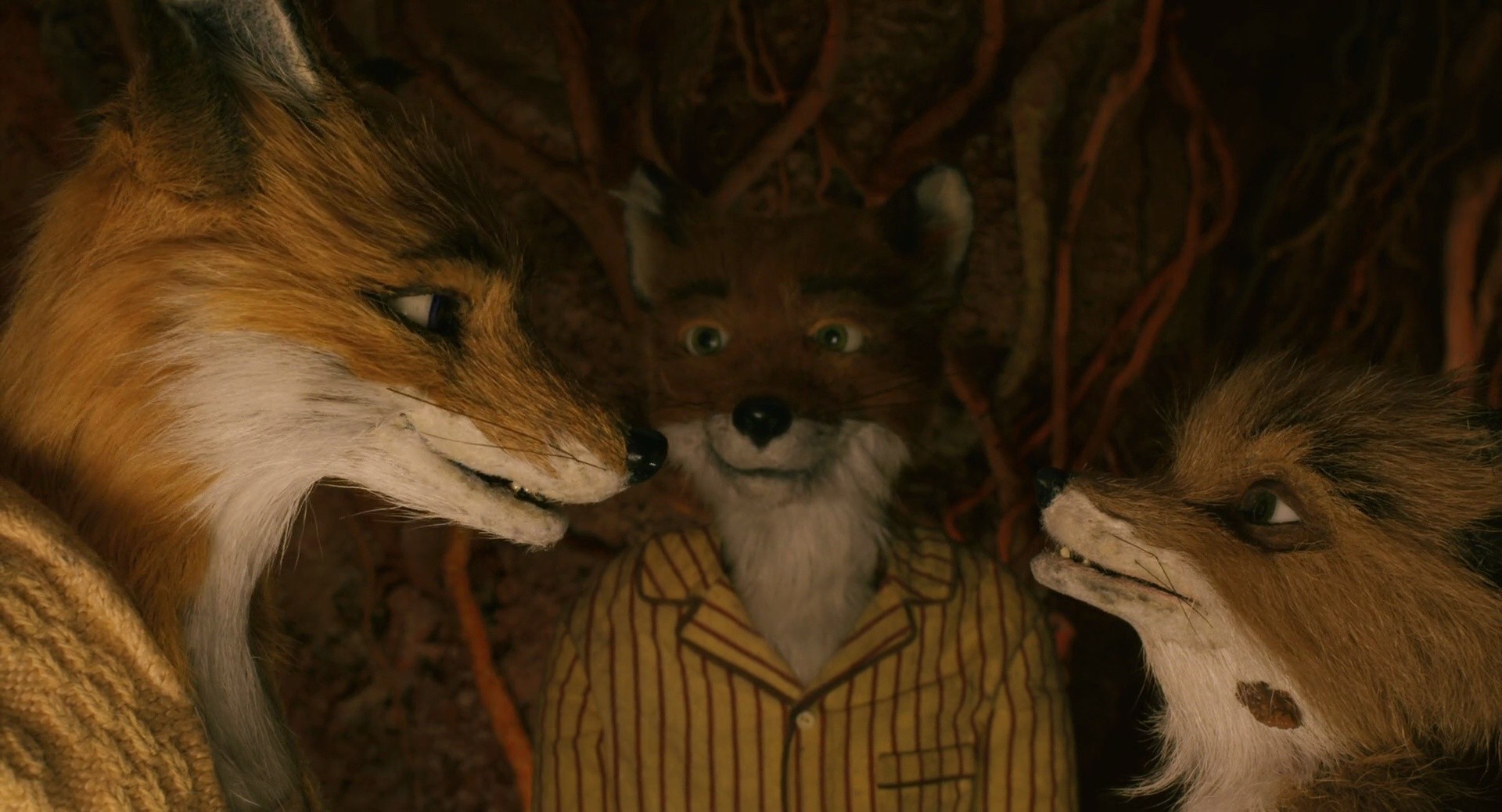 Shot 307