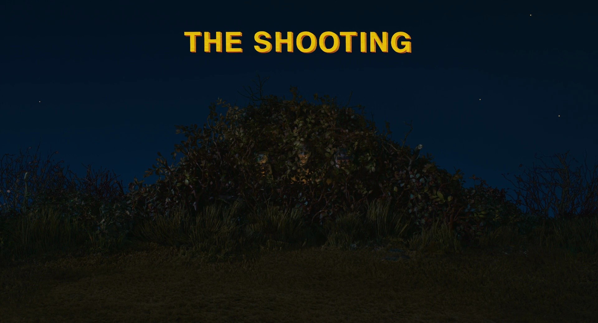 Shot 233