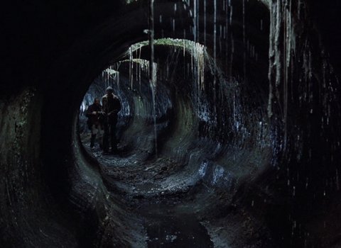 Shot 308