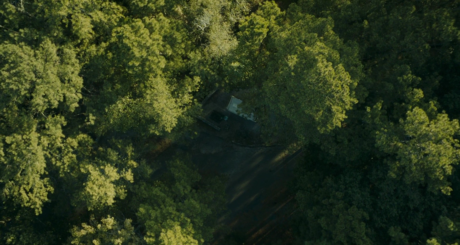 Shot 3