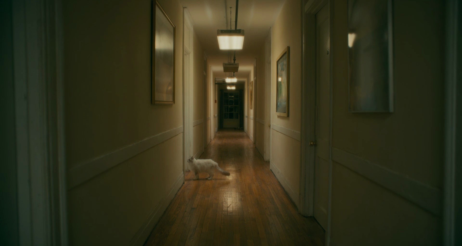 Shot 930