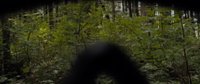 Shot 37