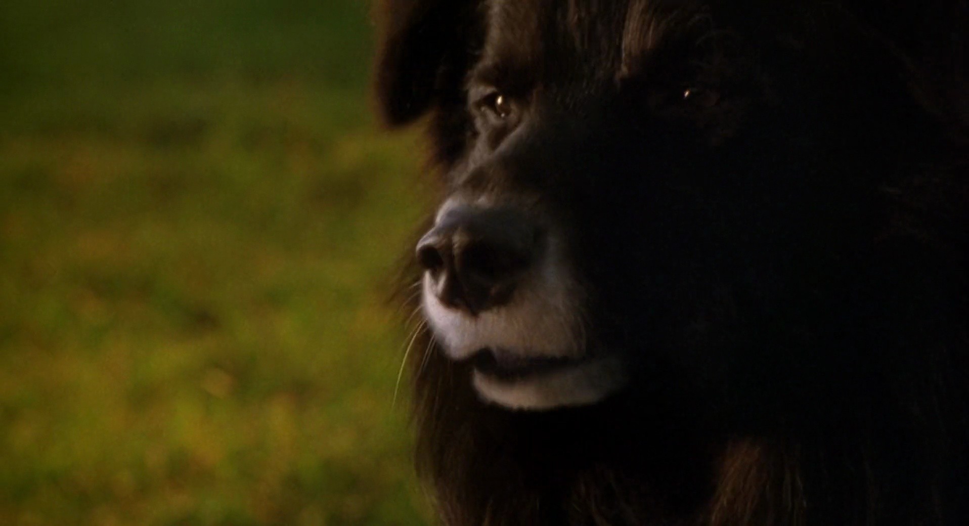 Shot 1260