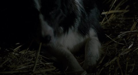 Shot 502