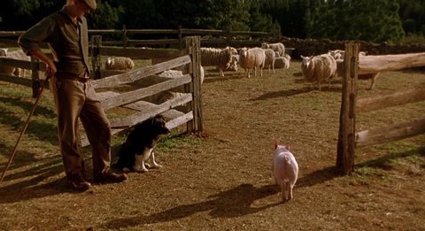 Shot 682