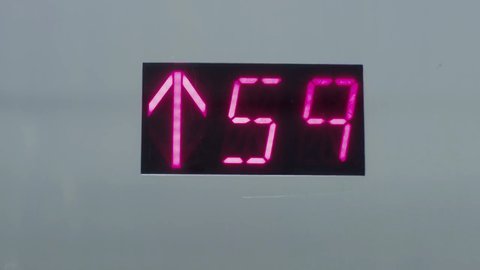 Shot 1477