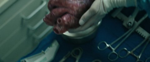 Shot 1504