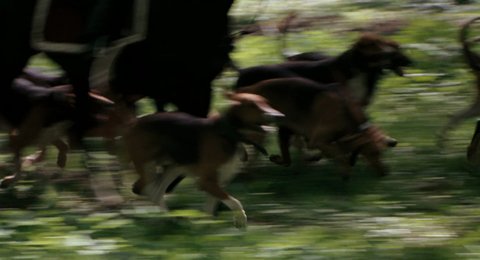 Shot 378