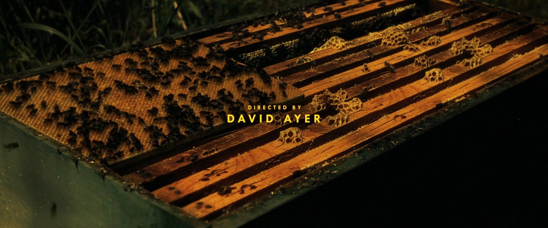 Shot 59